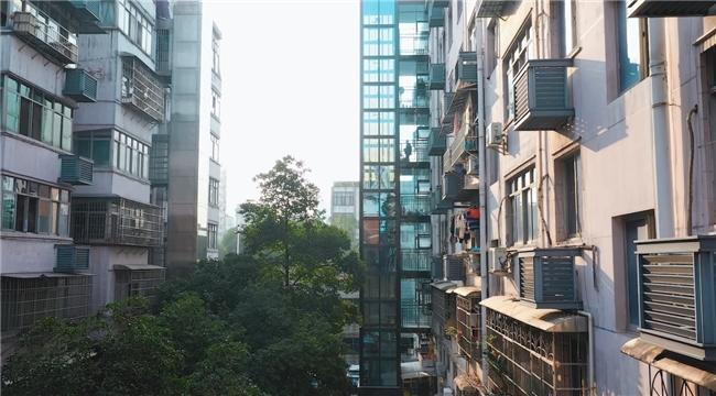 2024電梯行業(yè)新篇章：民族品牌加速趕超，LINVOL領(lǐng)沃引領(lǐng)新風(fēng)尚